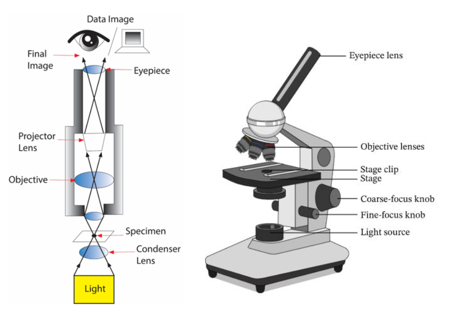 Simple Night Vision Mechanism